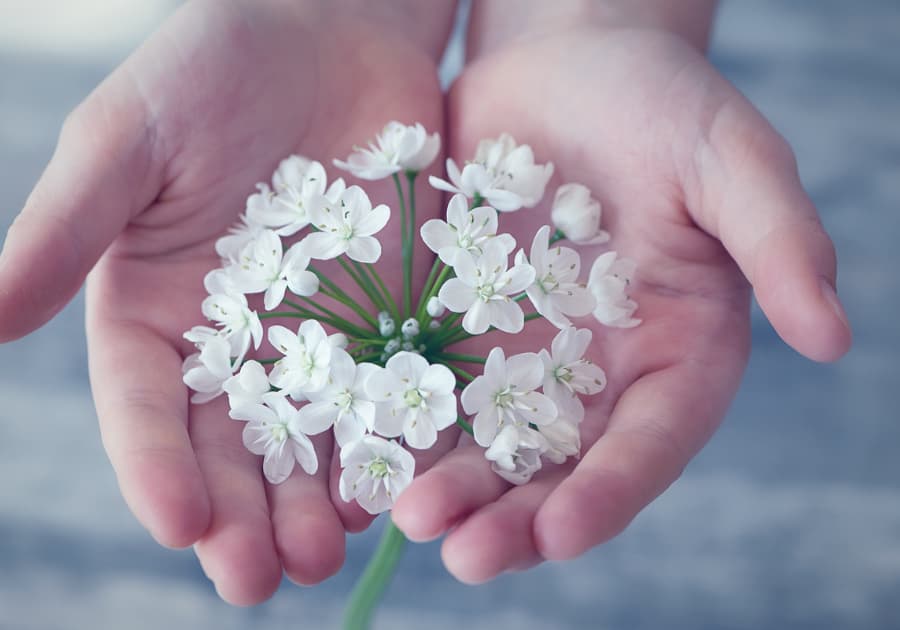 Mains avec des fleurs blanches posées dessus, symbolisant les bienfaits du Magnétisme