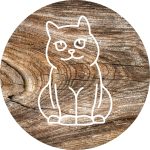 Image de chat qui illustre la communication Animale