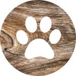 Patte de chien qui indique la Communication animale